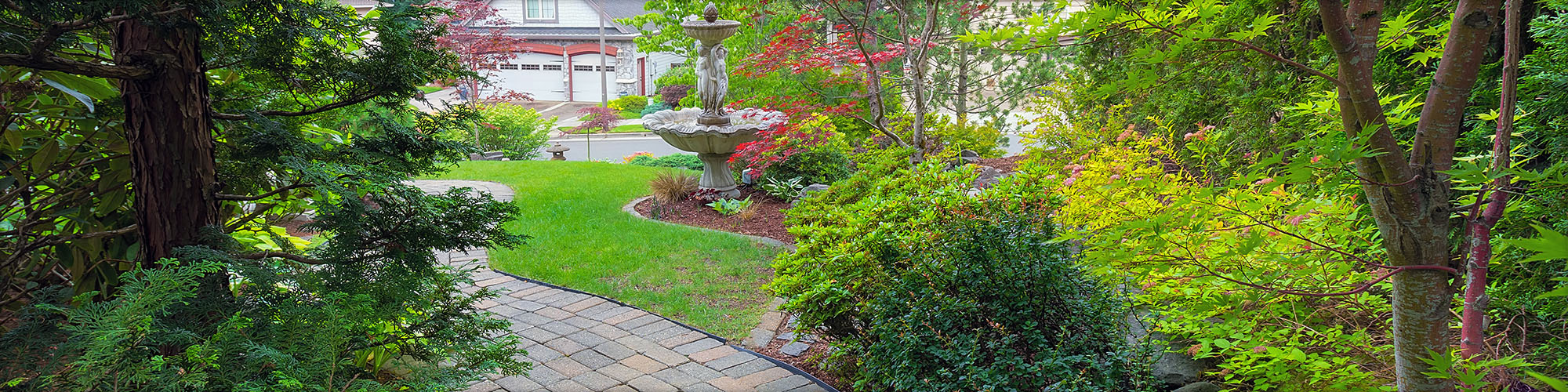 Scenic Path In a Neighborhood Scenic Path In a Neighborhood